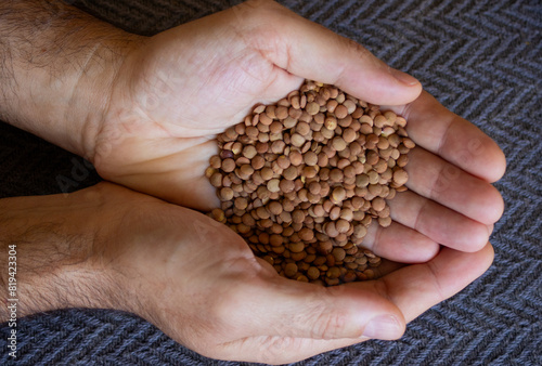 Hands of a young man with lentil seeds falling from one hand into another.