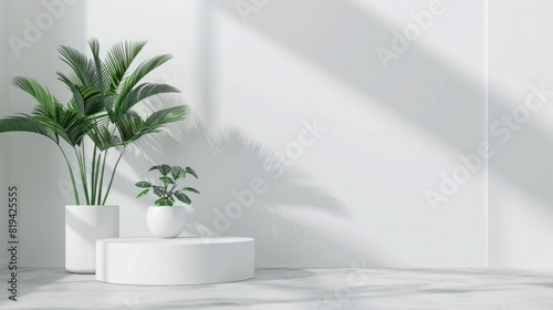 3D rendering of a white empty podium with a plant on the left side and a blank wall background for a product presentation mock up  minimal concept studio design