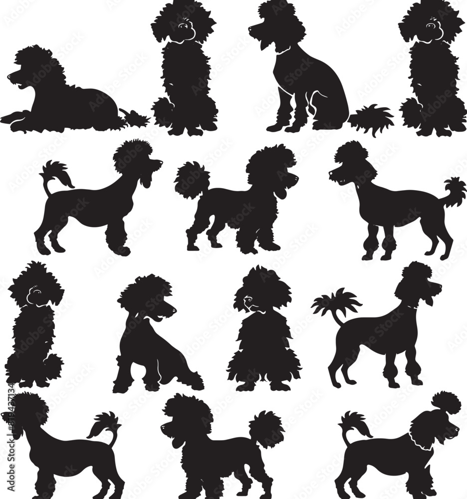 poodle silhouette vector poodle silhouette vector