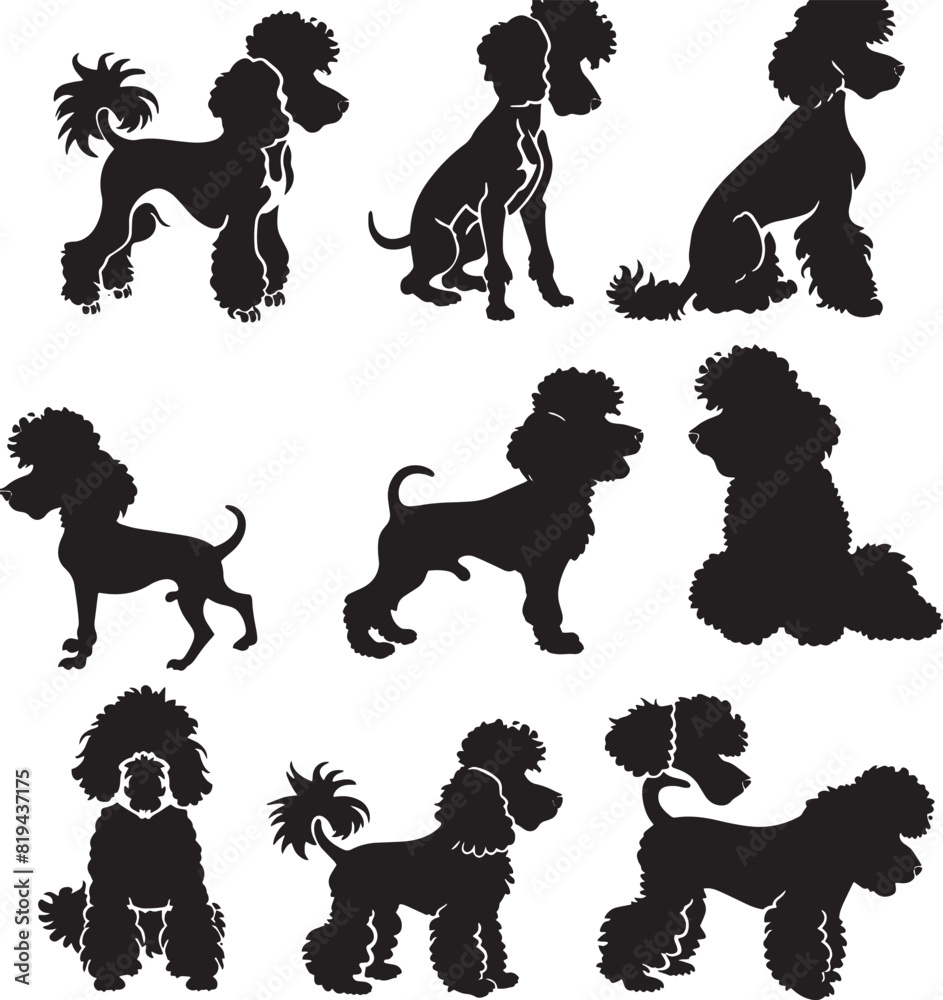 poodle silhouette vector poodle silhouette vector