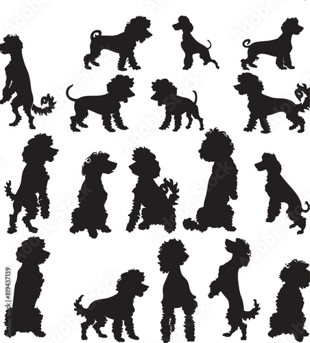 poodle silhouette vector 