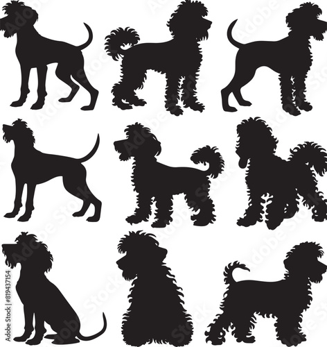 poodle silhouette vector 