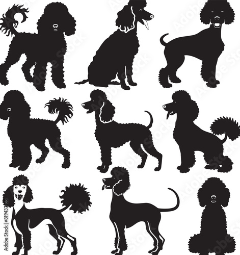 poodle silhouette vector 
