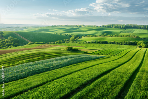 Rolling Green Hills under Blue Sky  Scenic view of lush farmland and rolling hills  Agricultural beauty  Rural tranquility.