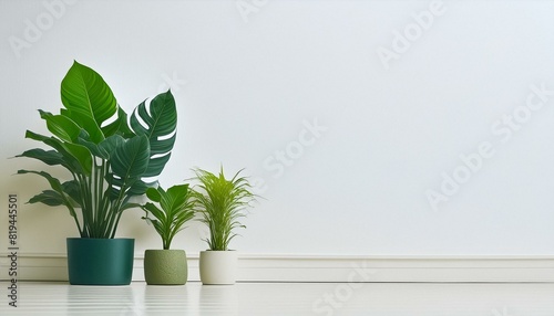 白の壁と観葉植物の背景素材