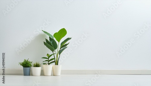 白の壁と観葉植物の背景素材 © 貴宏 西山