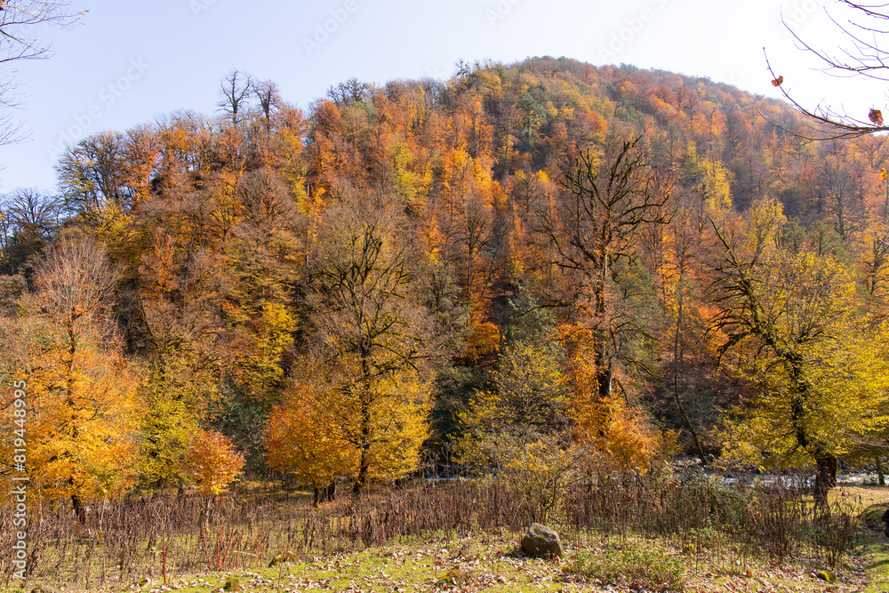 Fototapeta premium Clear river in the autumn forest. Azerbaijan.