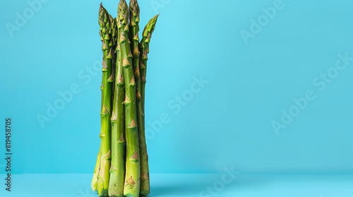 Asparagus  a photorealistic illustration against pastel blue background with copy space for text or logo  beautifully illuminated by studio lighting  flat lighting 