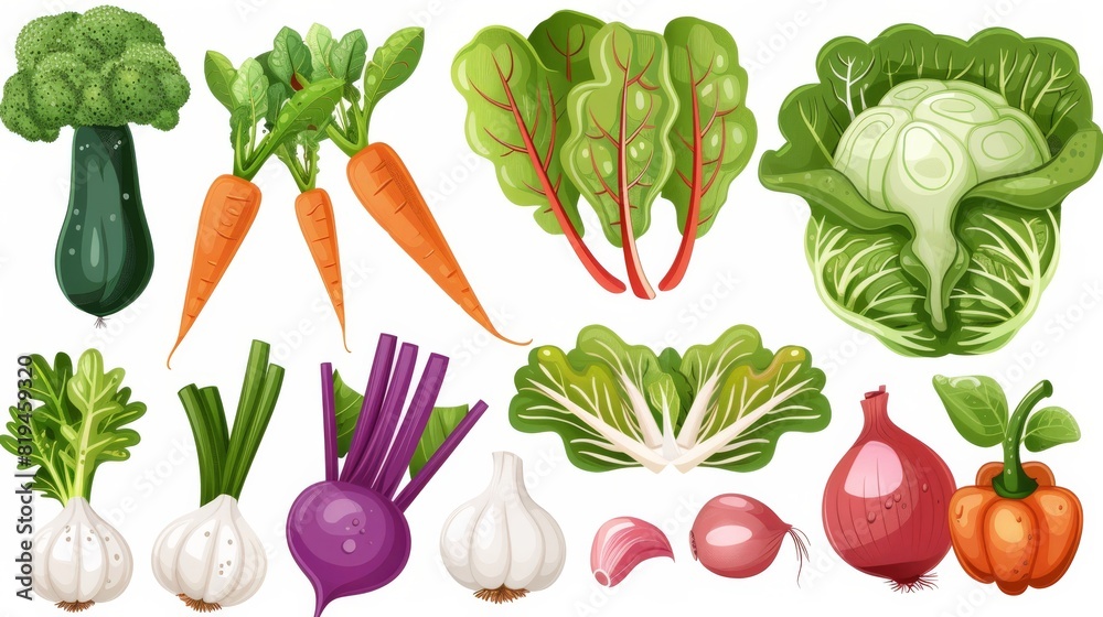 a set of vegetables (ingredients) - carrots, beets, sextoys, onions, garlic, cabbage, broccoli