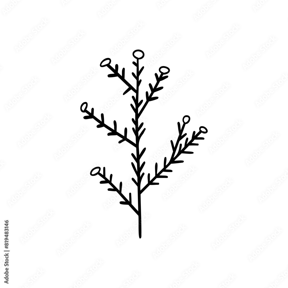 Drawing of Flower Branches Drawing of Flower Branches