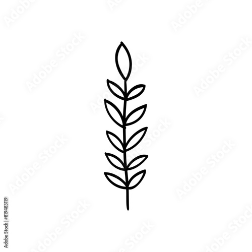 Drawing of Wheat Leaves