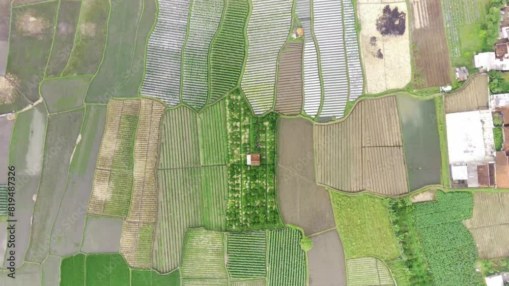 View of rice fields from above, Garut, West Java