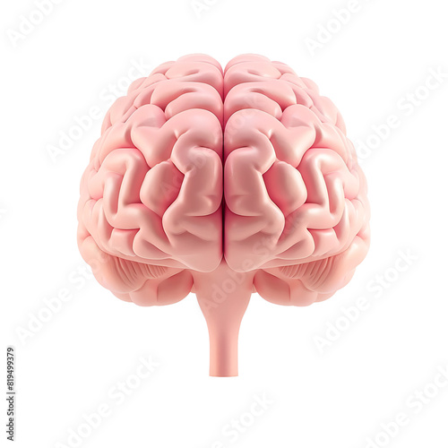3d front view of human brain on transparent background