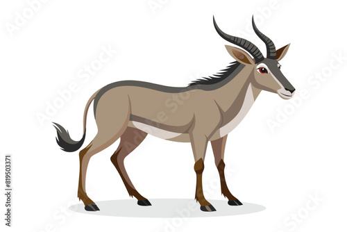 Oryx animal flat vector illustration on white background.
