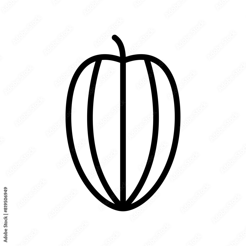 Obraz premium star fruit line icon vector design template