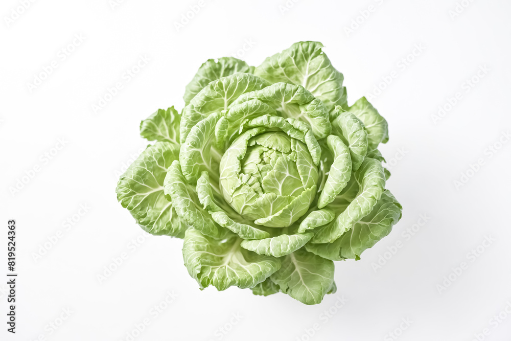 Obraz premium Close-up of a Fresh Green Cabbage Isolated on White