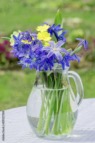 A fresh bouquet of spring primroses stands in a glass jug of water in the garden.