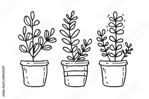 Elegant Minimalist Line Drawing of a Plant with Leaves and Pot on a Clean White Background