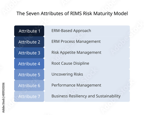 the seven attributes of RIMS Risk Maturity Model