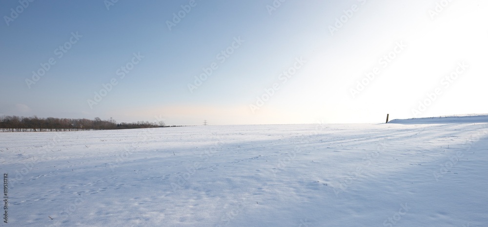 Landscape, snow and winter in countryside with environment, blue sky and sunshine in nature. Park, cold and travel for holiday, trip and vacation in Switzerland for adventure with mock up space Landscape, snow and winter in countryside with environment, blue sky and sunshine in nature. Park, cold and travel for holiday, trip and vacation in Switzerland for adventure with mock up space