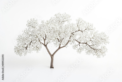 Blooming White Tree Branch Isolated on White Background