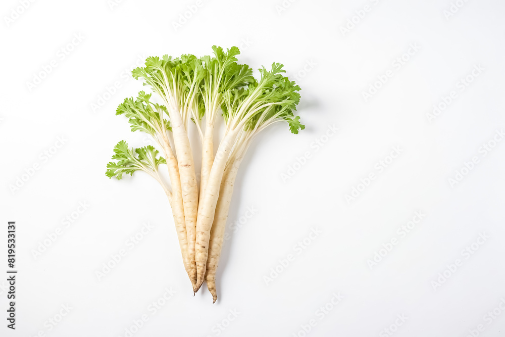 Fresh White Radishes with Green Tops Fresh White Radishes with Green Tops