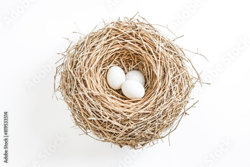 Bird's Nest with Eggs
