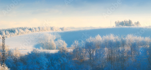 Nature, snow and trees in landscape, environment and clouds in sky outdoor, calm and space in forest. Morning, woods and winter in Canada, branches and texture of plants, earth and weather of ice