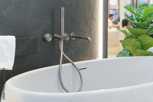 Modern Shower and Bathtub Combo © ake1150