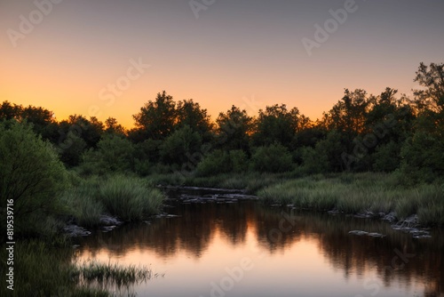 nature park trees and river under sunset in summer. pond lake reflections in field and fog scenery.