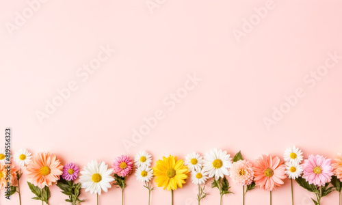 Colorful flowers line bottom edge, various types, pink background, bright, cheerful, spring theme, floral arrangement, fresh blossoms, border, empty copy space above, mood is bright and cheerful © Celt Studio