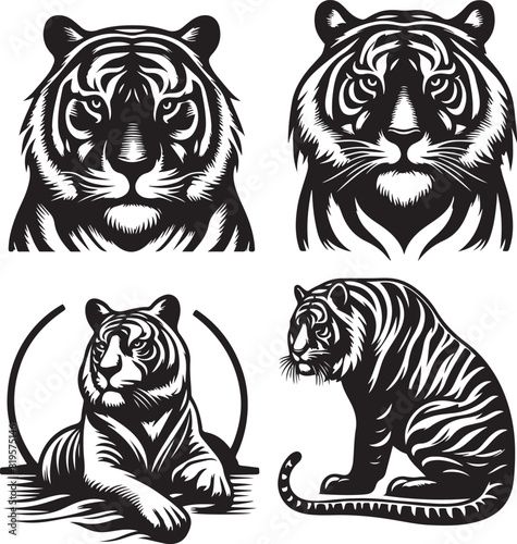 tiger bundle art ilastration