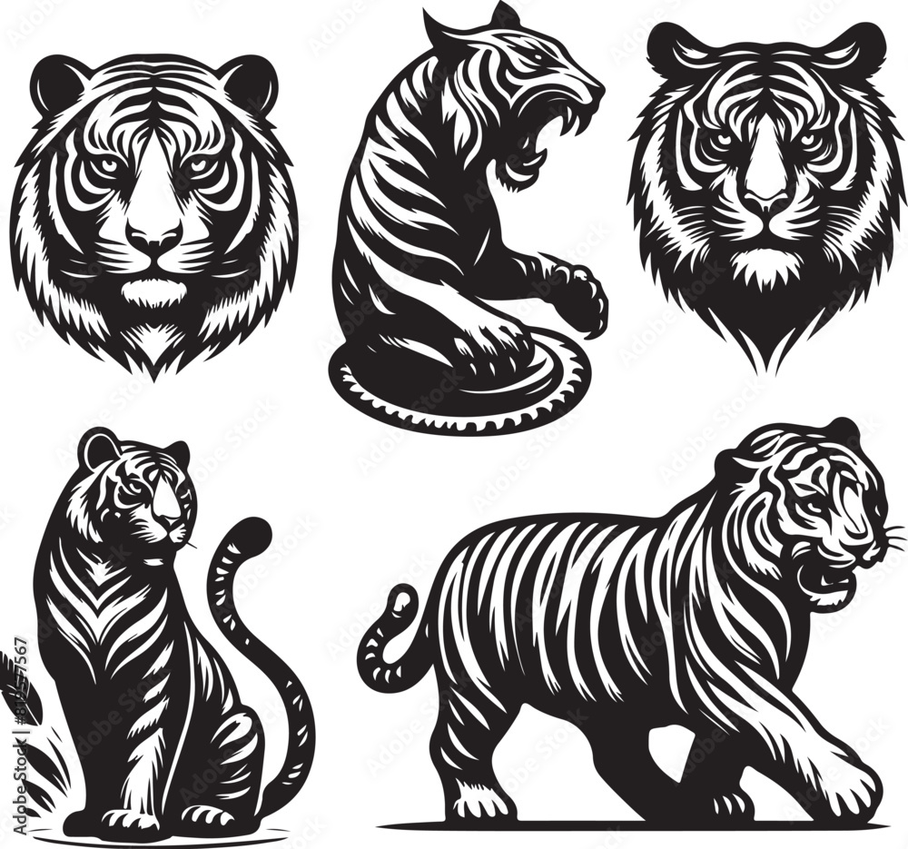Fototapeta premium tiger bundle art ilastration