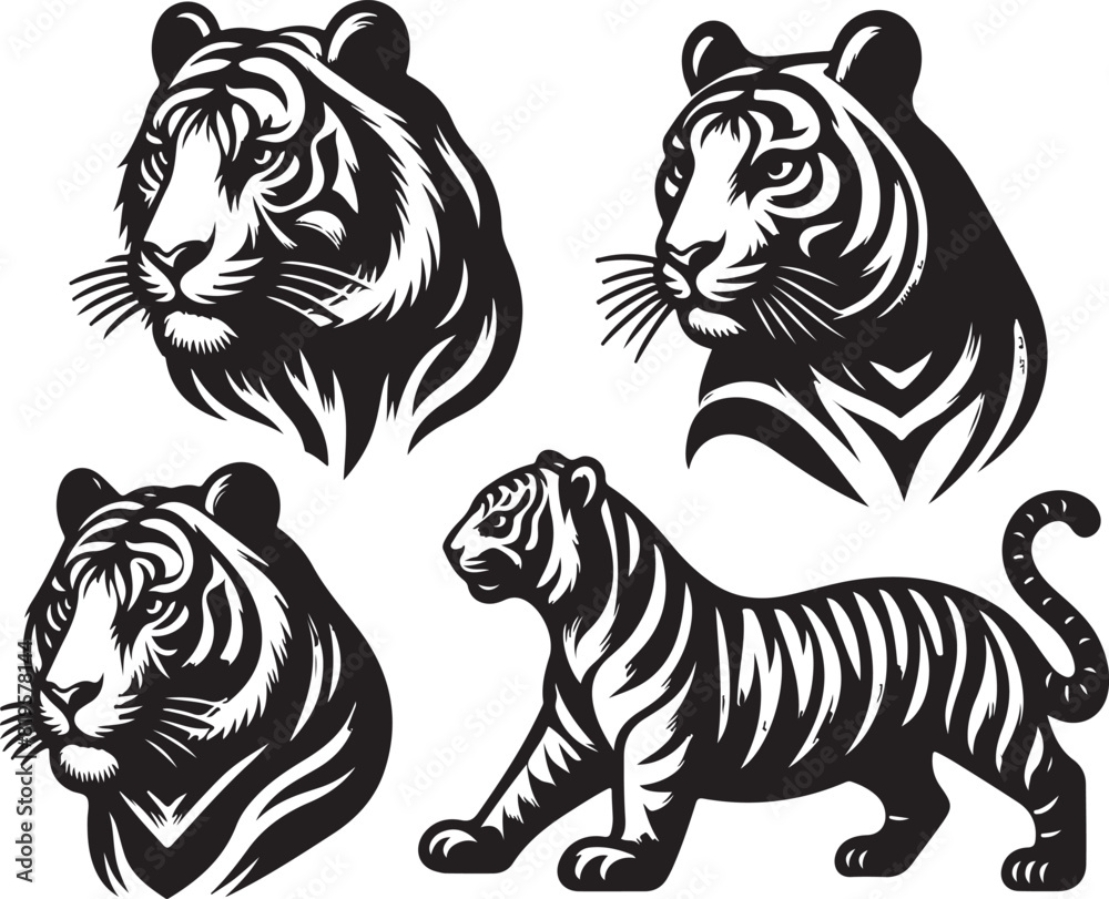 Fototapeta premium tiger bundle art ilastration