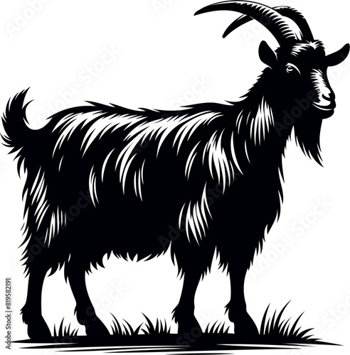 goat Vector,  goat vector illustration, goat emblem design, Goat silhouette