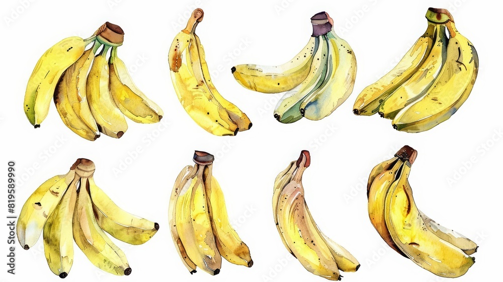 A set of water color of banana bunches, a staple of energyrich diets, Clipart isolated with a white background