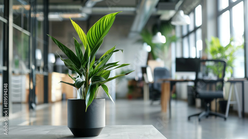 plant in modern office eco friendly office interior design  © Ali