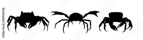 The set silhouettes of sea crabs.
