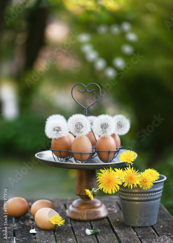 Handmade easter decoration with dandelions ´flowers in egg shell vases. Garden decoration concept. Rustic style. Copy space.