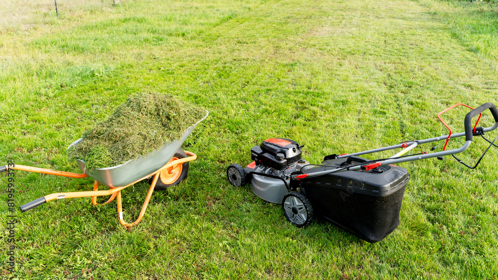 Fototapeta premium Girl with a lawn mower at her dacha