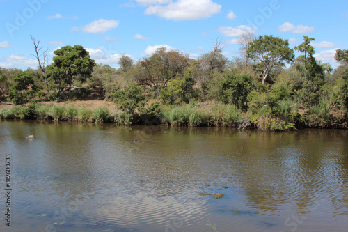 Afrikanischer Busch - Krügerpark - Sweni River / African Bush - Kruger Park - Sweni River /