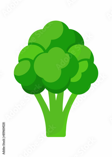 Fresh green broccoli vector illustration 