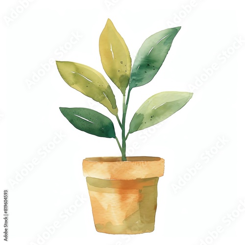 Minimalistic watercolor of a potted plant on a white background, cute and comical.