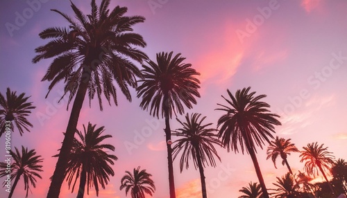 Silhouetted palm trees on a vibrant beach at sunset  creating a tranquil vacation scene.