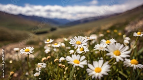 Organic Flower Pattern