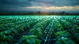 High-tech agricultural field with digital lights at dusk, showcasing advanced farming technology and innovation under a cloudy sky.