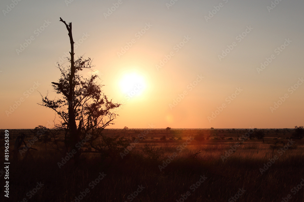 Sonnenuntergang - Krüger Park - Südafrika / Sundown - Kruger Park - South Africa / Sonnenuntergang - Krüger Park - Südafrika / Sundown - Kruger Park - South Africa /