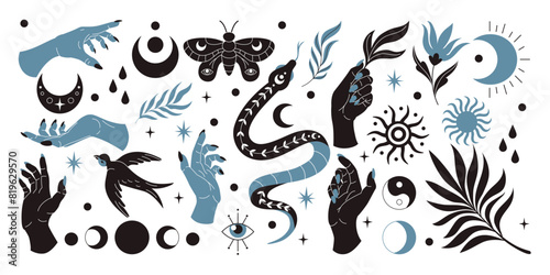Snake mystic boho set. Sun, bird and eye black silhouette. Esoteric moon, tarot cover design, female hand, bohemian element graphic flower, floral feather, moth. Vector sticker occult tidy celestial