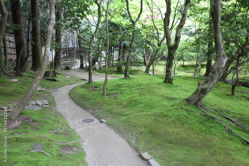 Moss garden in Ginkakuji Temple in Kyoto, Japan