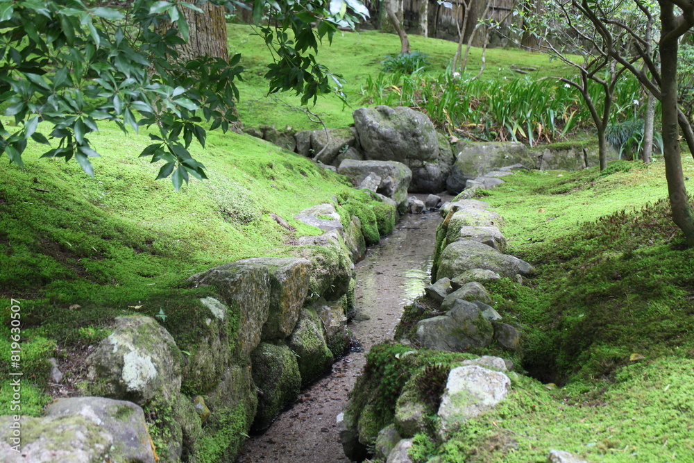 Moss garden in Ginkakuji Temple in Kyoto, Japan Moss garden in Ginkakuji Temple in Kyoto, Japan